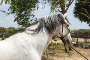 11416359_10204323927326394_4370793776120993650_o