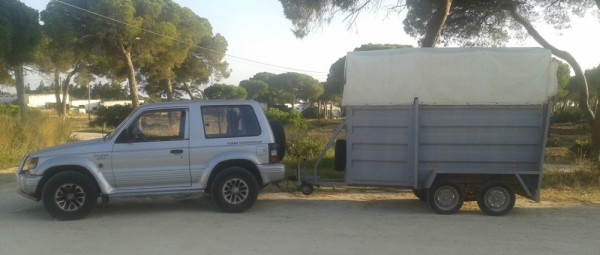 Gremlin Mobil "Angelo"
