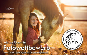 aktion-gremlin-fotowettbewerb