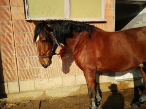 img_20160206_131136_003