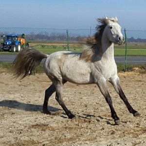 6849_949576645133846_3114906754916463103_n