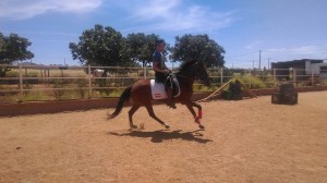 13332767_10206315375831362_1178294160193217998_n