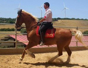 13403776_10206332803747049_1026113391890716574_o