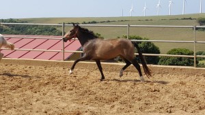 13490638_10206417307019578_6637873014328771645_o