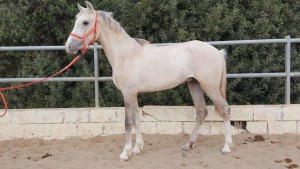 13490670_10206439393491726_7236688217823531492_o