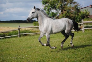 13497811_10206868068522464_1142566481100844345_o