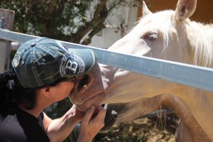 13502699_10206397975416300_10949707560786192_o