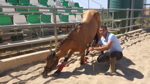 13701122_10206568049268040_9113533152698825312_o