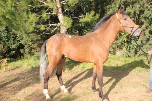 13708175_10206570064158411_7960287596068686094_o