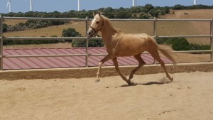 13765680_10206589409482032_6871564356777585645_o