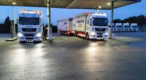 13912835_10206734329744948_8831569787374498319_n