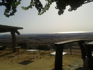 13932855_10206743164205804_5788507442094221858_n