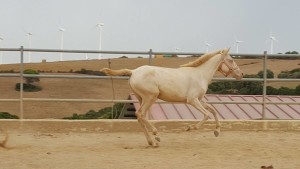 14102919_10206890069678349_510905479810710470_o