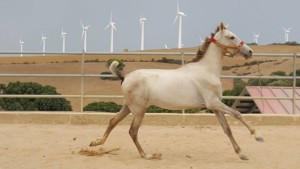 14125628_10206863842702691_4053522367362177952_o