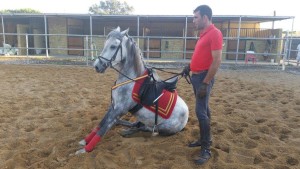 14310574_10207032693483855_5683713046686040390_o