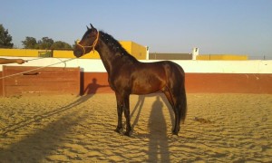 14202665_10206959155845460_8832821910232044240_n