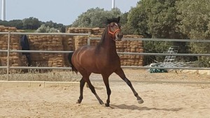 14433093_10207100201771520_2509505184109299391_n