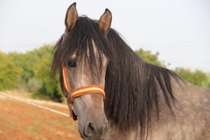 14440758_10207137945635093_3804472353864510409_n