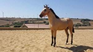 14440763_10207134836597369_5626406871147703334_n