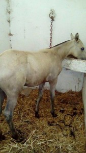 14639847_10207228599701388_3337176090317353903_n