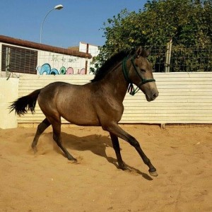 14656303_10207228744385005_1008681375877740314_n