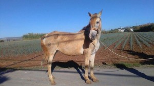 14680634_10207313403661434_1755534949181611405_n