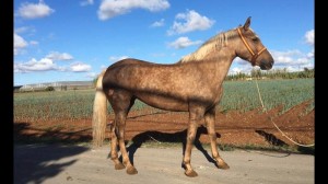 14690992_10207292011526644_7613490780287737382_n