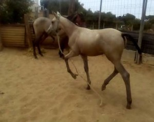 14718705_10207228599541384_8153763122344020536_n