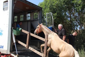 15000709_10207432844087370_3226859343120228403_o