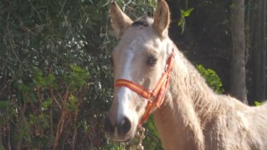 15002449_10207451907003931_4667612498968416417_o