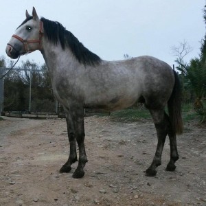 15056316_10207522316284119_825711761961621213_n