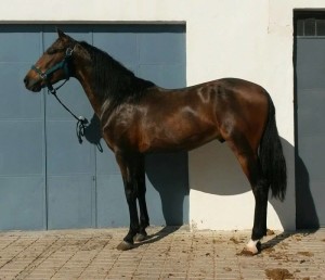 15170762_10207522612931535_6760321318535817178_n