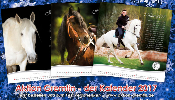 Kalender-promo