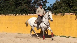 15085489_10207576961130206_3576502026035708721_n