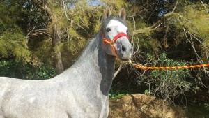 15095479_10207549500643711_1728861556530508583_n