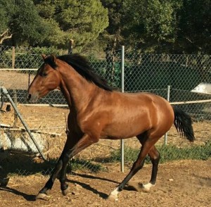 15253505_10207608832246964_7541998856018071781_n