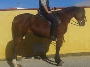 15319253_994095167402503_6433471869024280766_n