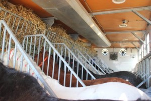 15420798_10207685093433446_5206469205097293327_n