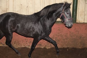 15442147_10207777270977827_1598903634645457094_n