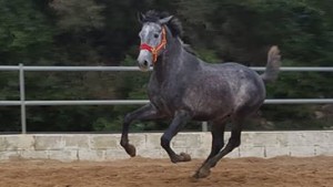 15622753_10207780225691693_5780154021593464850_n